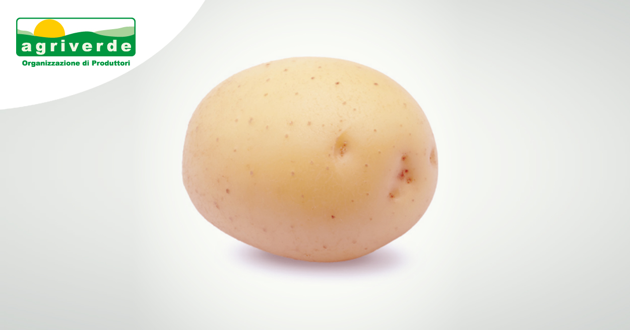 Varietà di Patate: Colomba